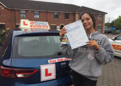driving instructor wrexham