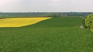 Travelogue, Northern France. History, Norman Conquest, Britains relationship with Medieval Normandy.