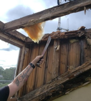 Residential multi-flat conversion rot 1