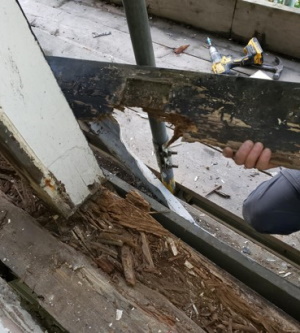 Residential multi-flat conversion rot 2