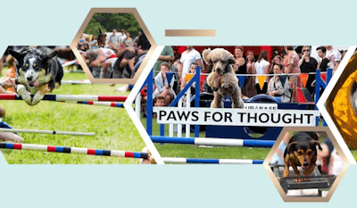 Paws for Thought Wanborough Show 2026